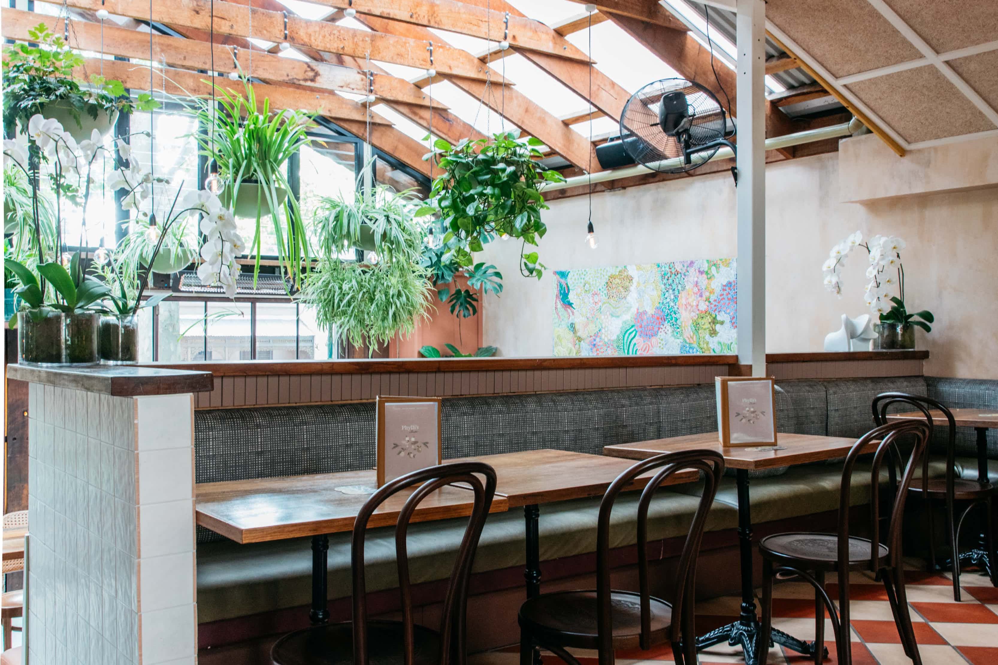 Phylli's Exclusive 2