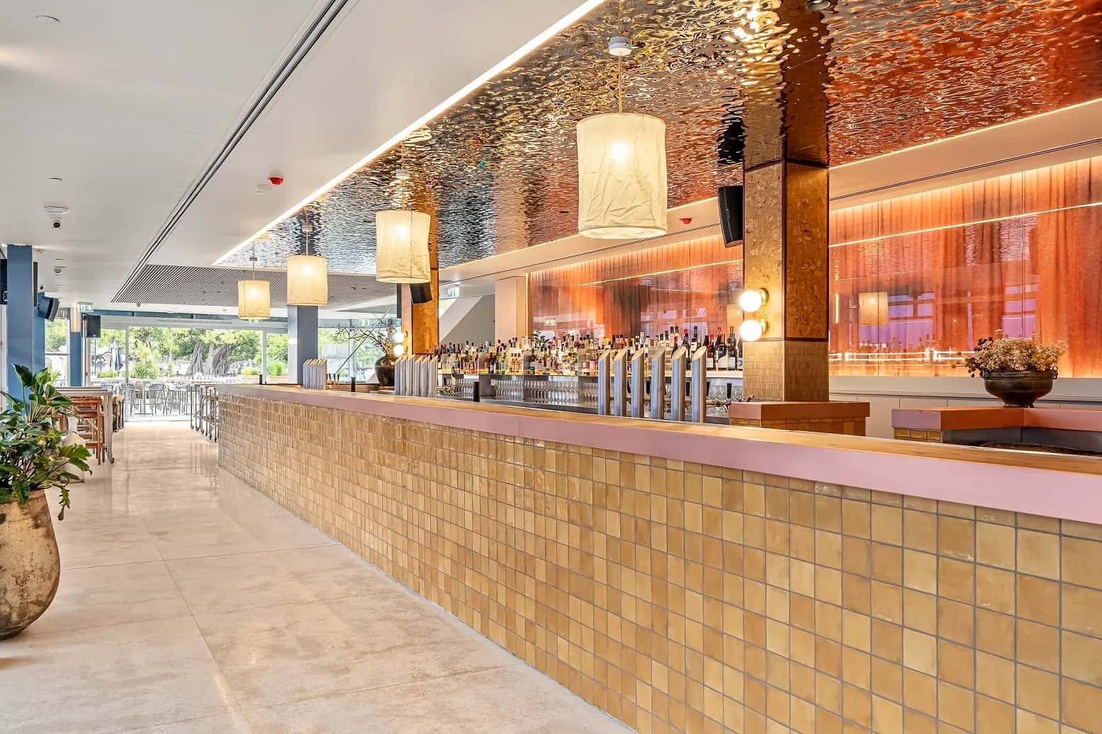 Cruise Level 1- Exclusive 1