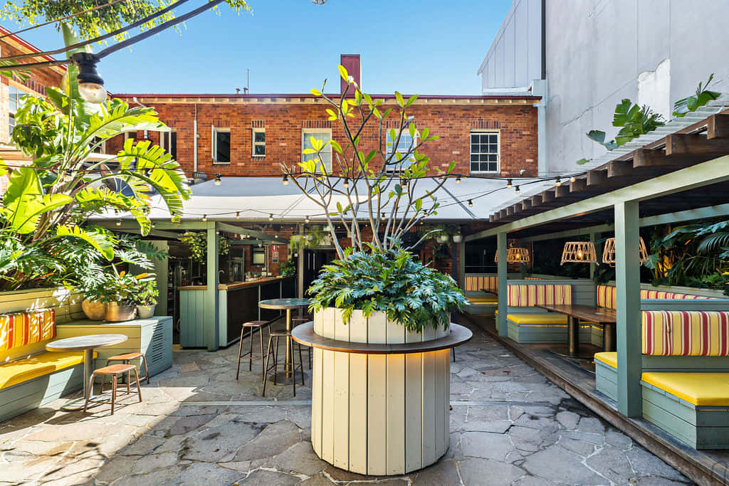 Exclusive Hire - Sunrise, Sunset, The Canopy & The Boulevard 2