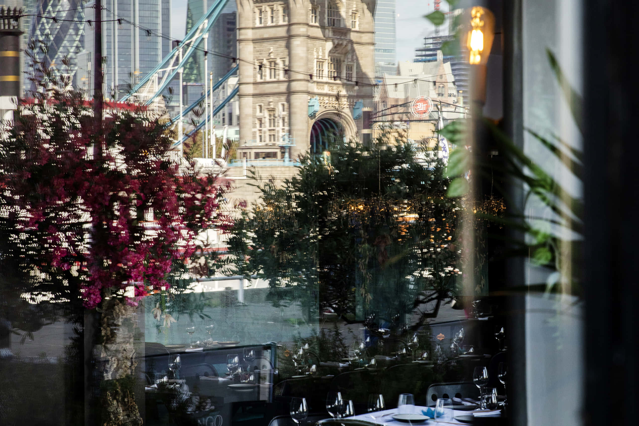 Sticky Mango Tower Bridge 13