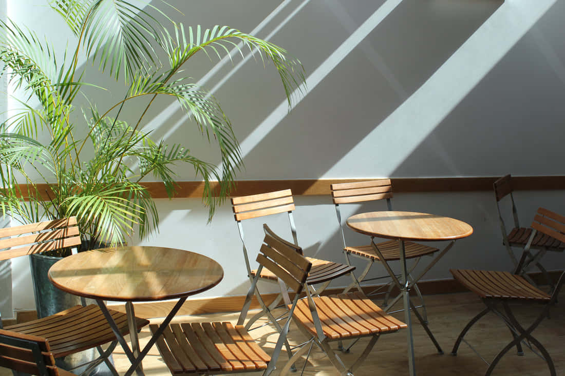 The Conservatory Room 1