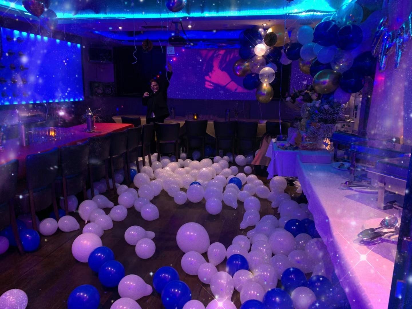 Private Party Room 2