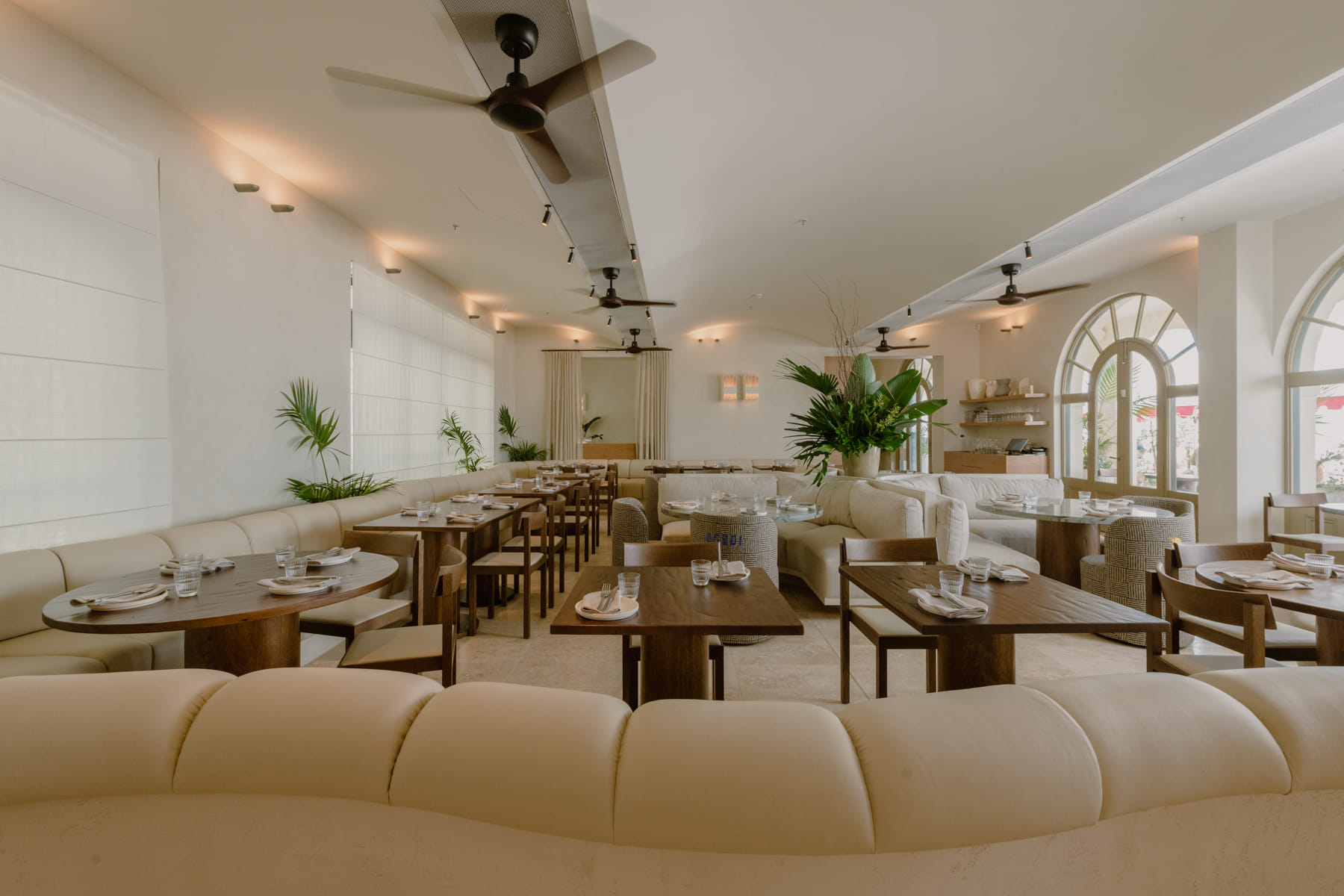 Etheus, Bondi Beach 2