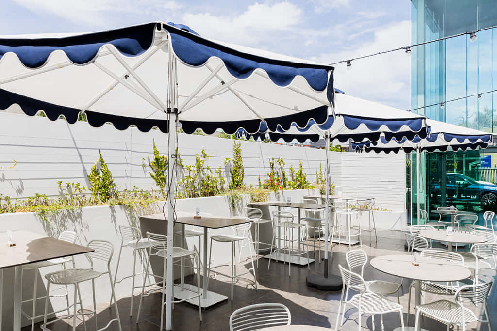 The Courtyard Oasis: A Breath of Fresh Air 1