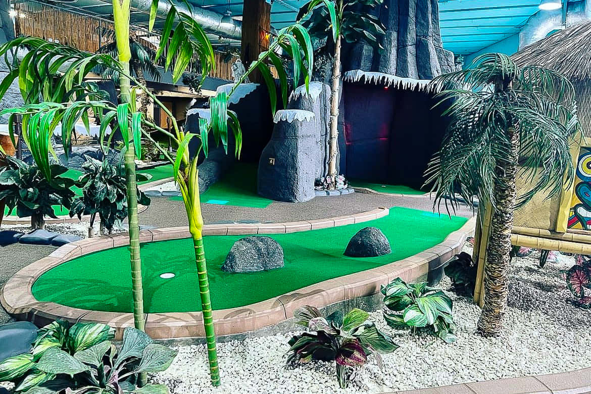 Jungle Course 0