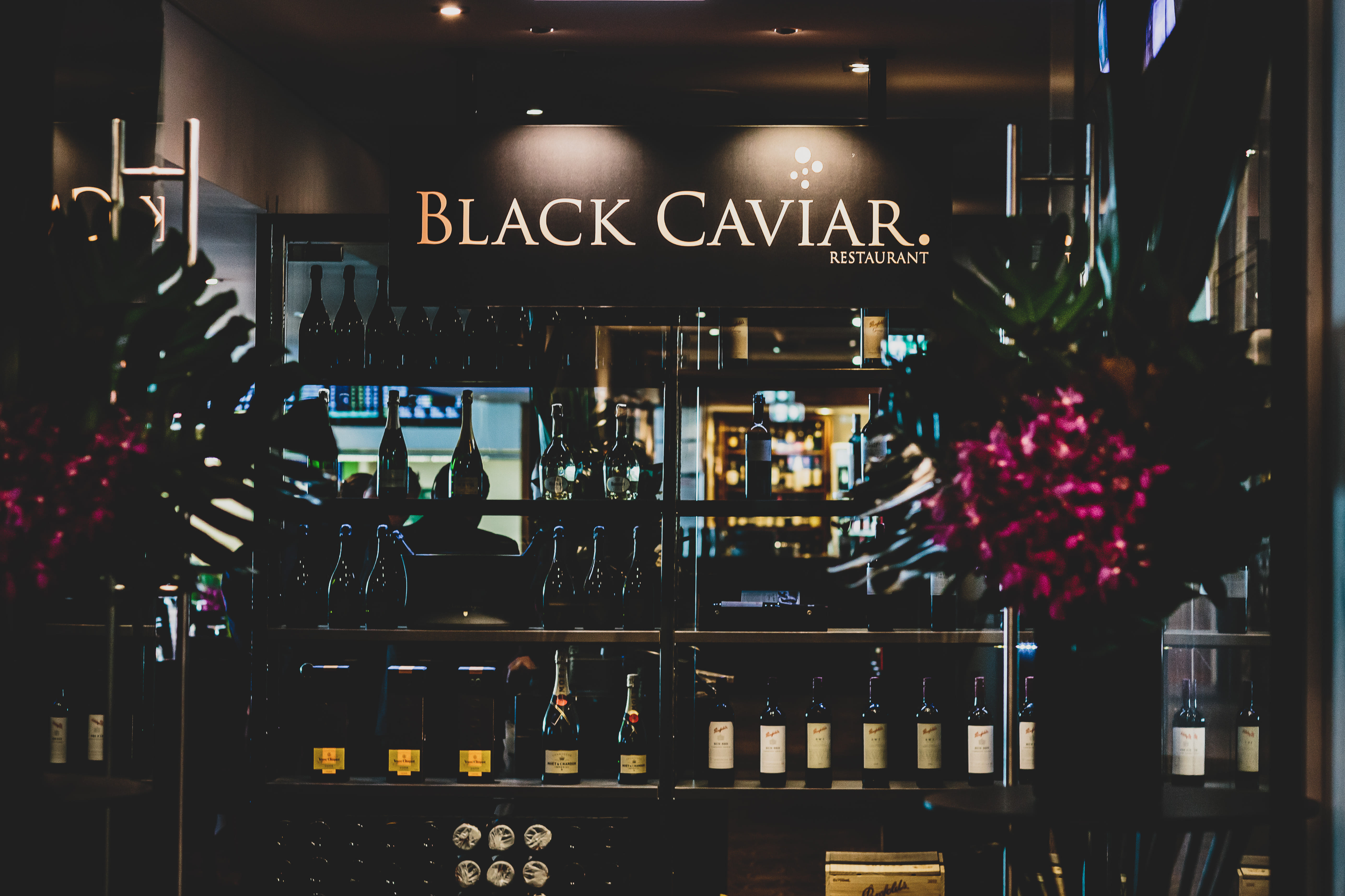 Caulfield Events | Black Caviar Room