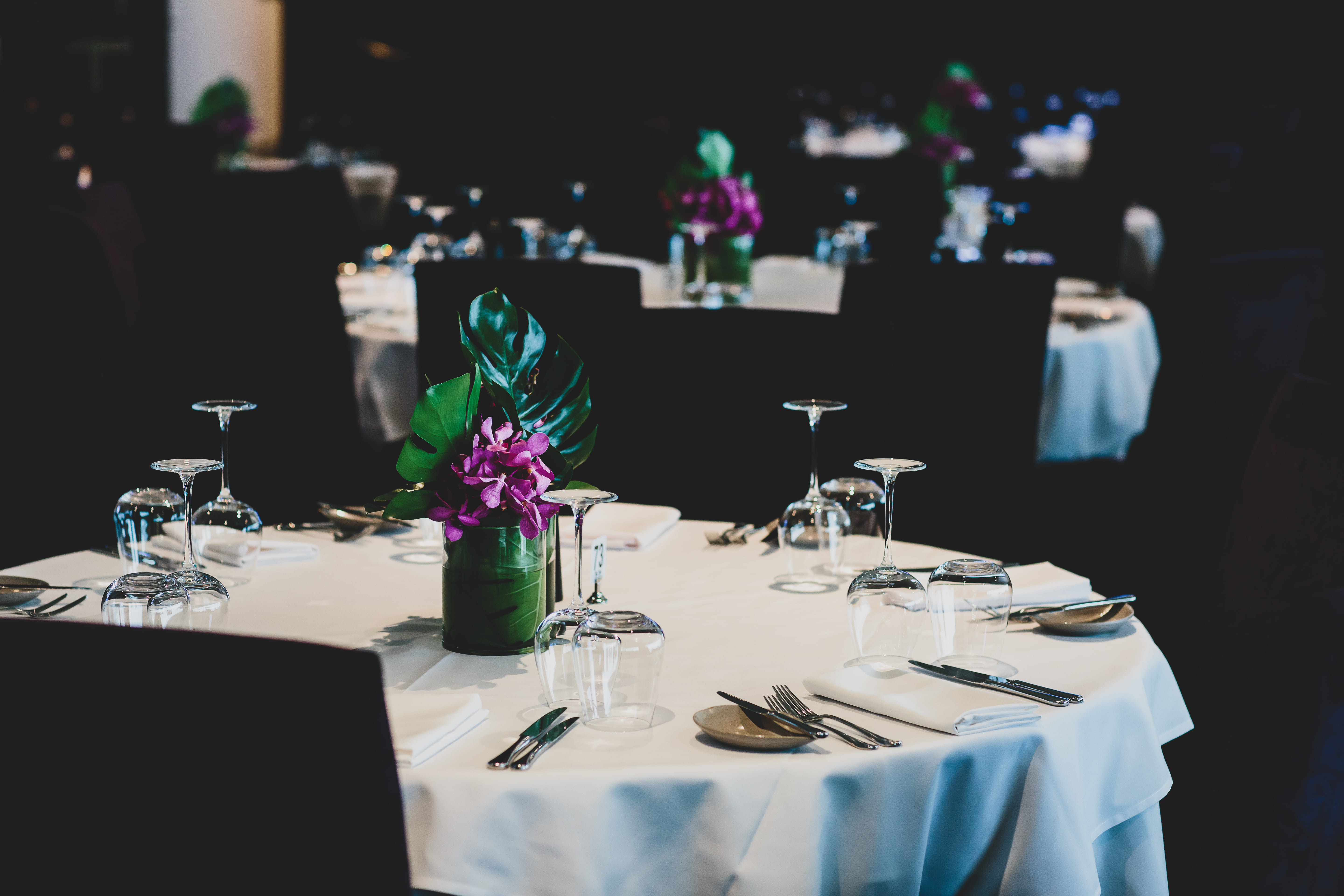 Caulfield Events | Black Caviar Room 1