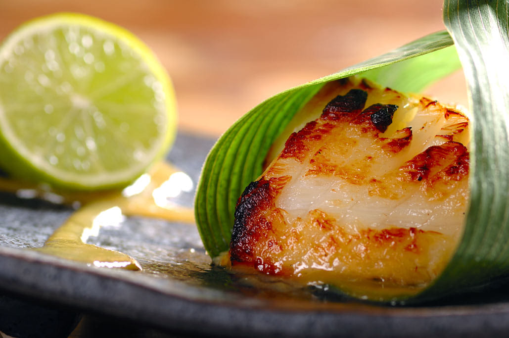 BABYLON | LOWER GROUND 21