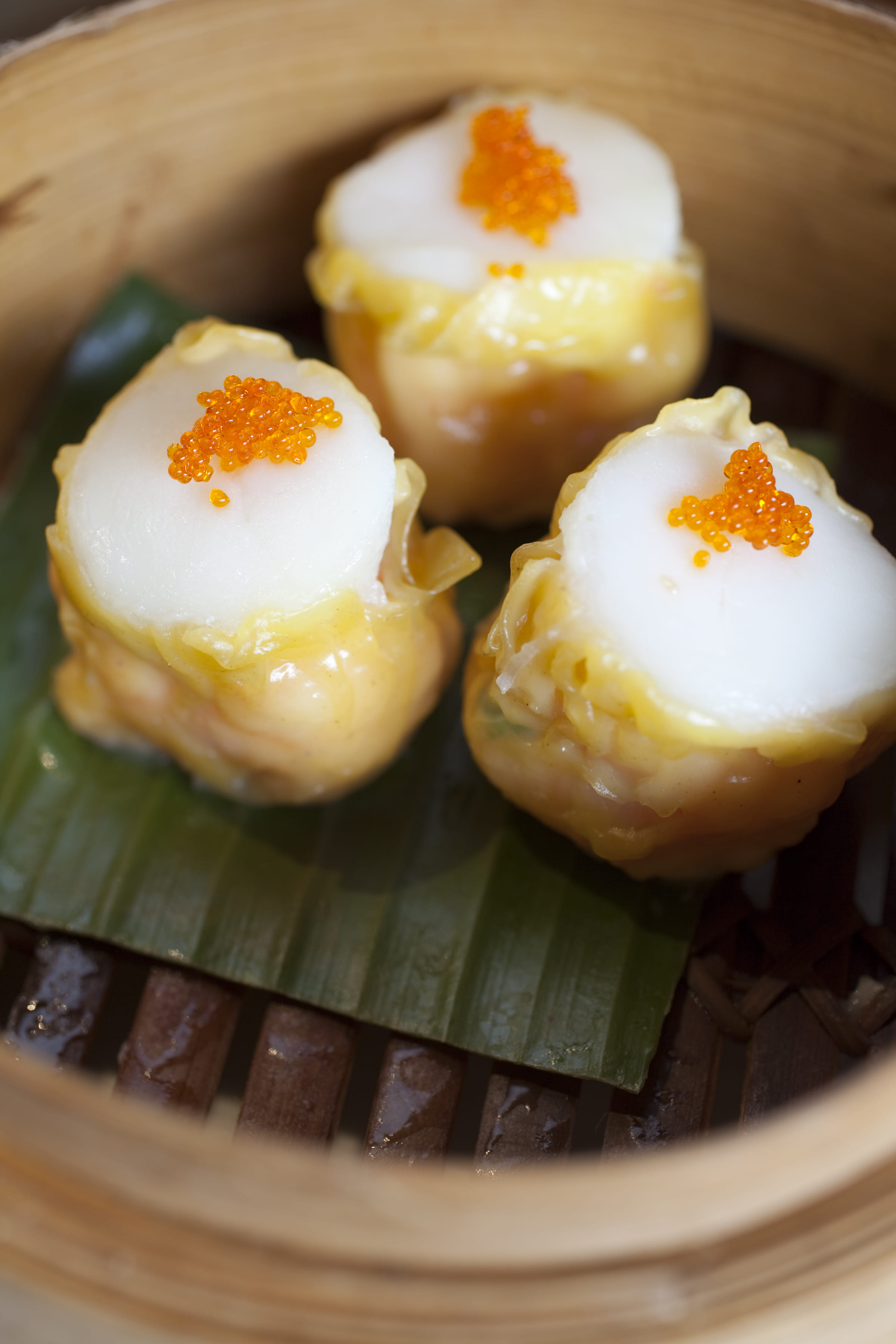 BABYLON | LOWER GROUND 18