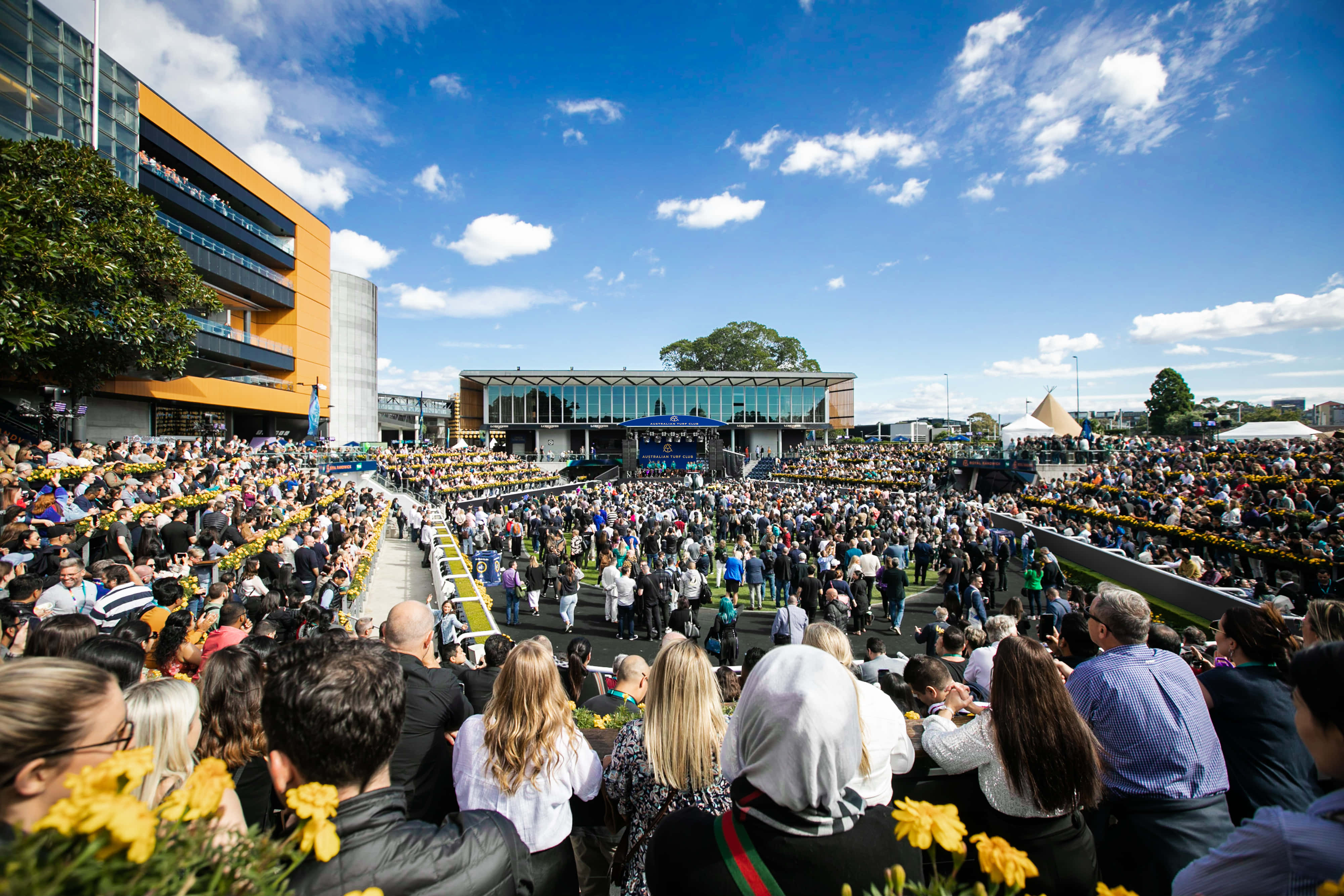 Theatre of the Horse 2