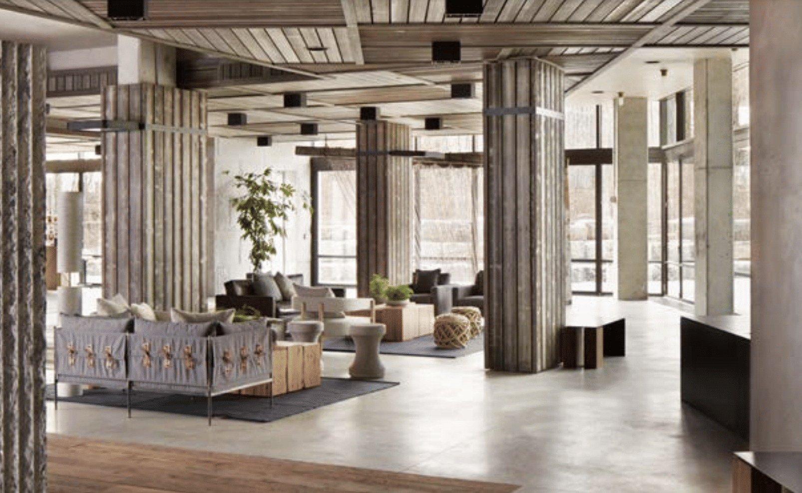 Meadow Rue Social Space 2