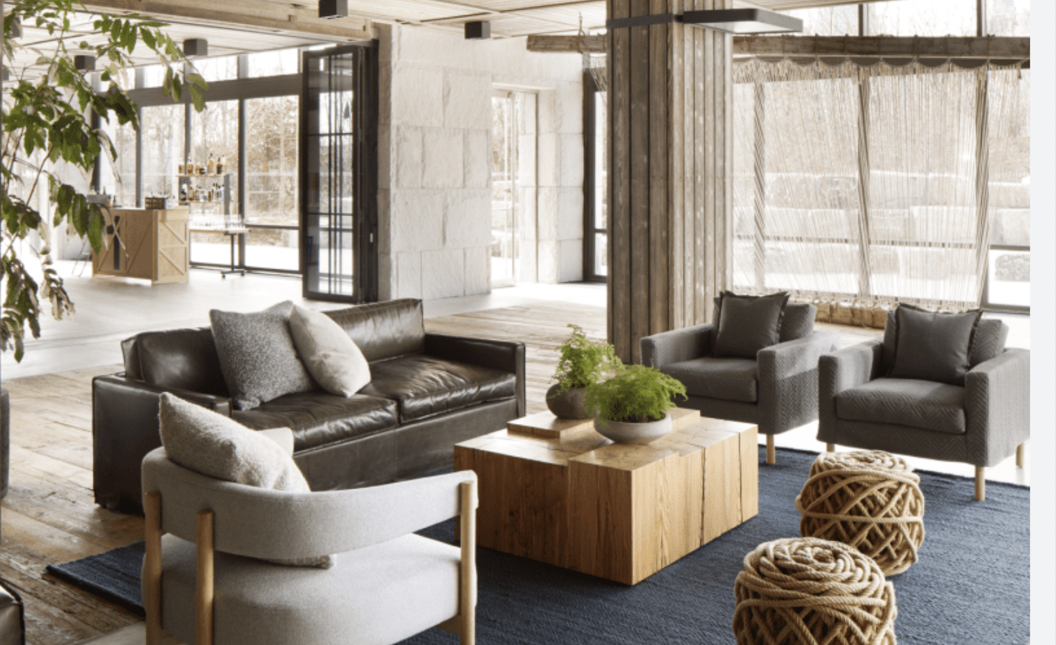 Meadow Rue Social Space 1