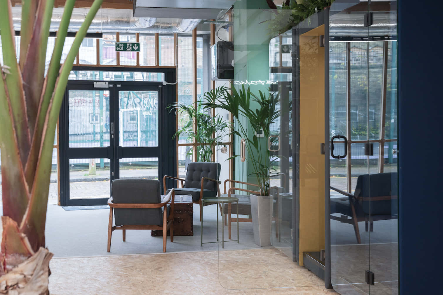 FOMO House | Screening Room 13