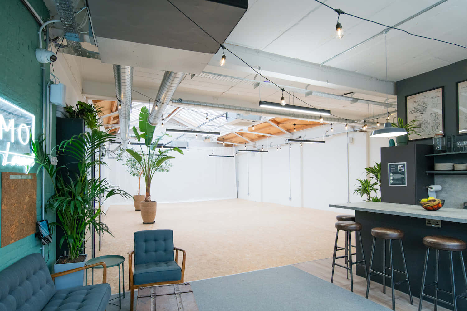 FOMO House | Screening Room 4