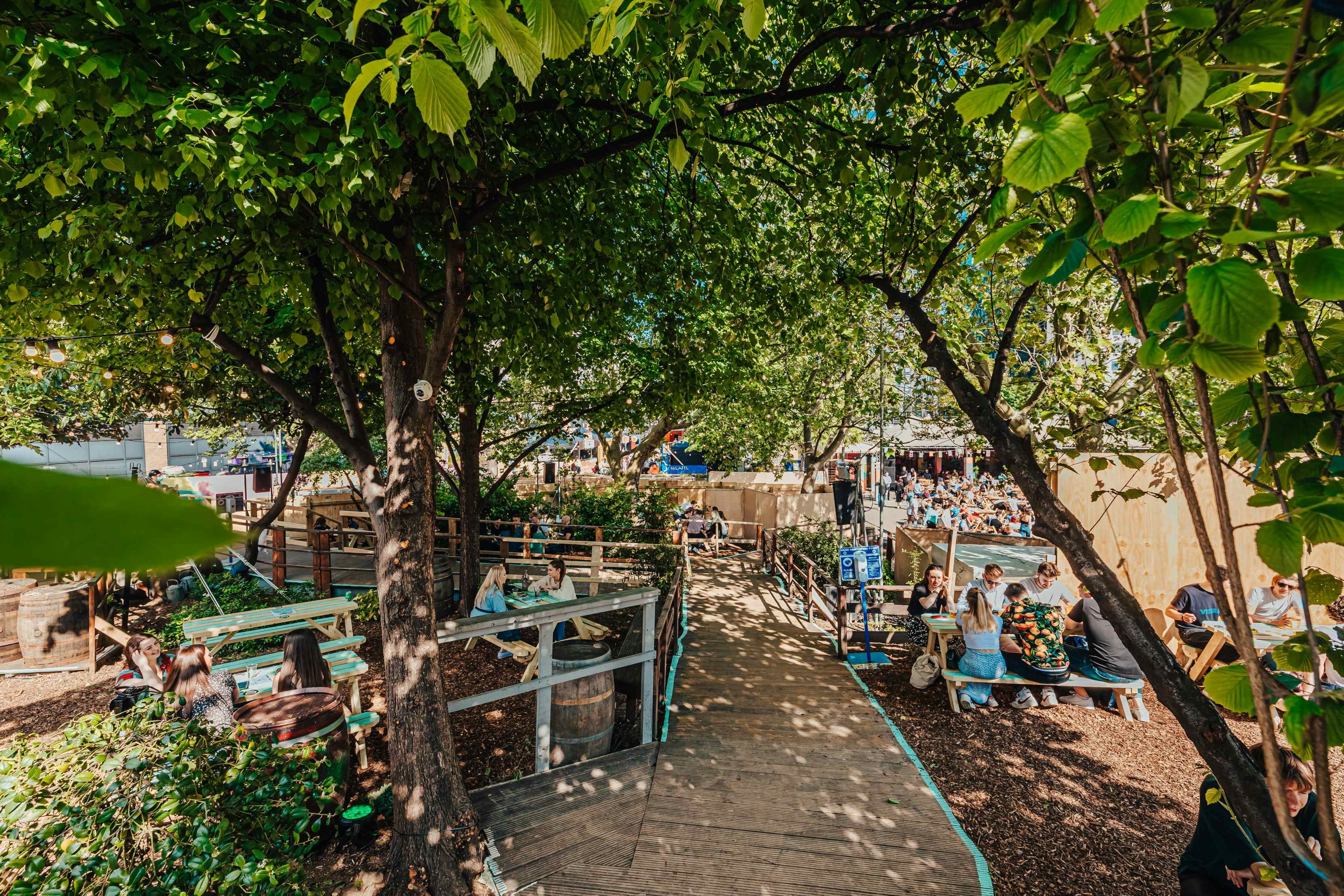 Summer | The Garden 5