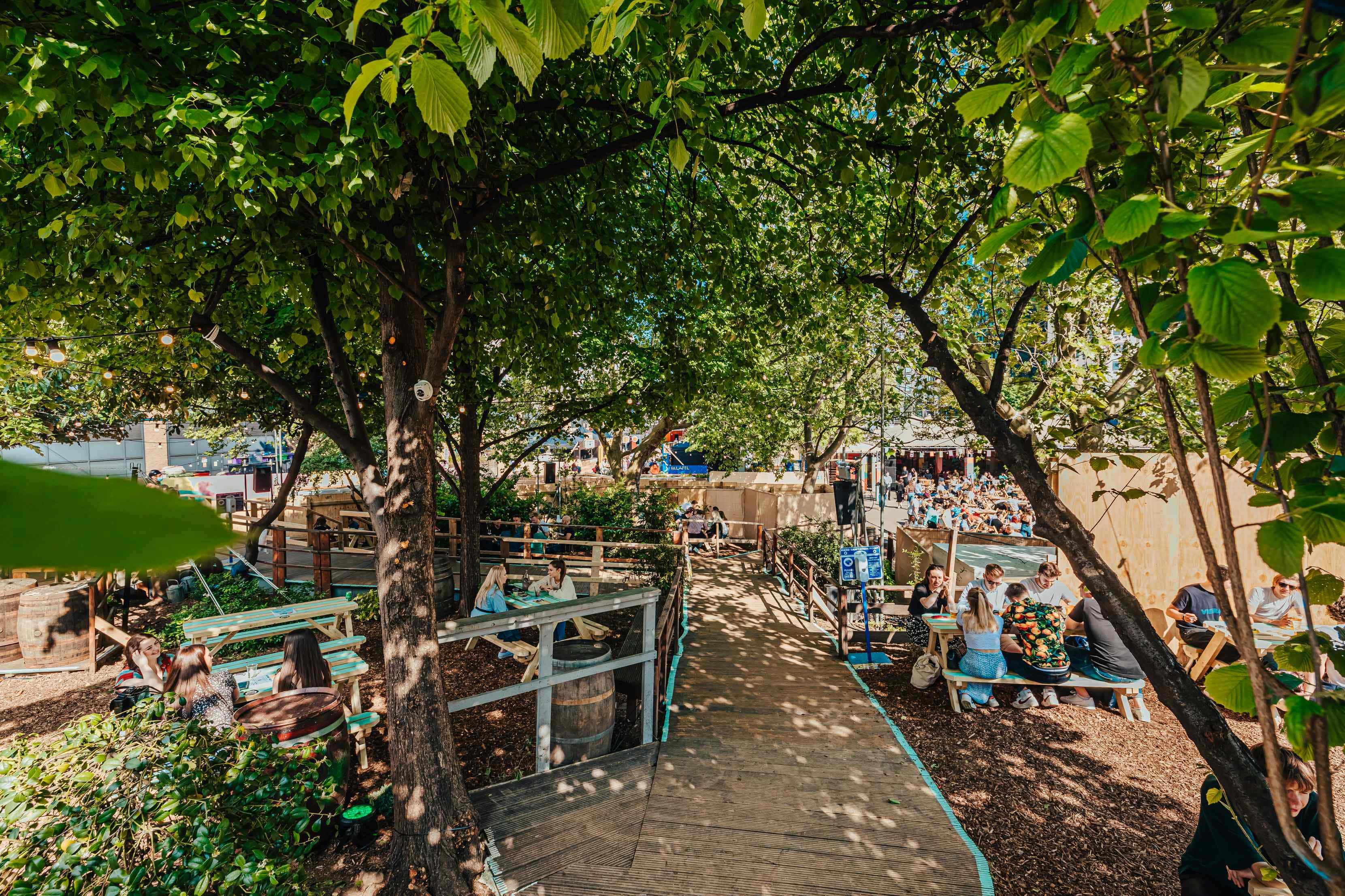 Summer | The Garden 5