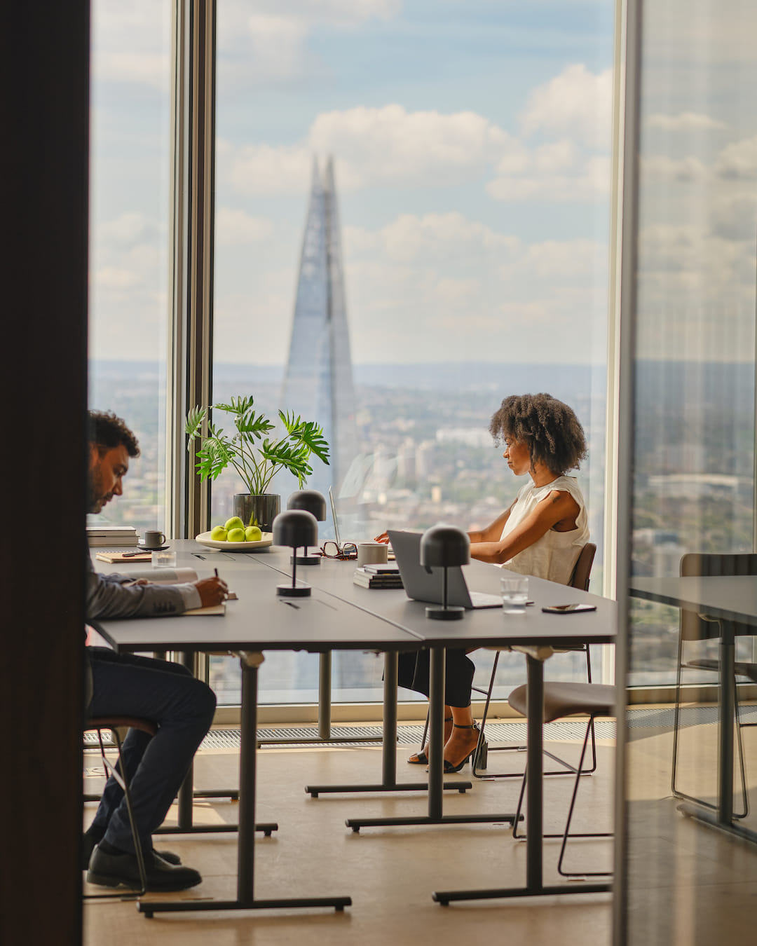 Executive Suites - Meeting Rooms 2