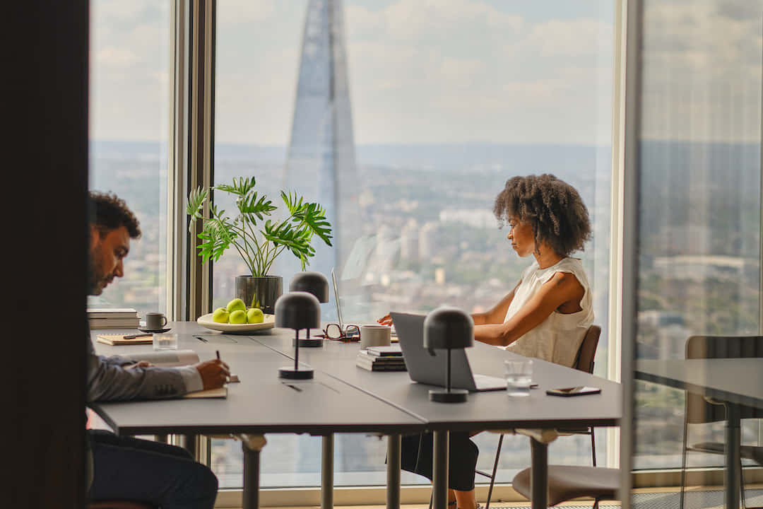 Executive Suites - Meeting Rooms 2