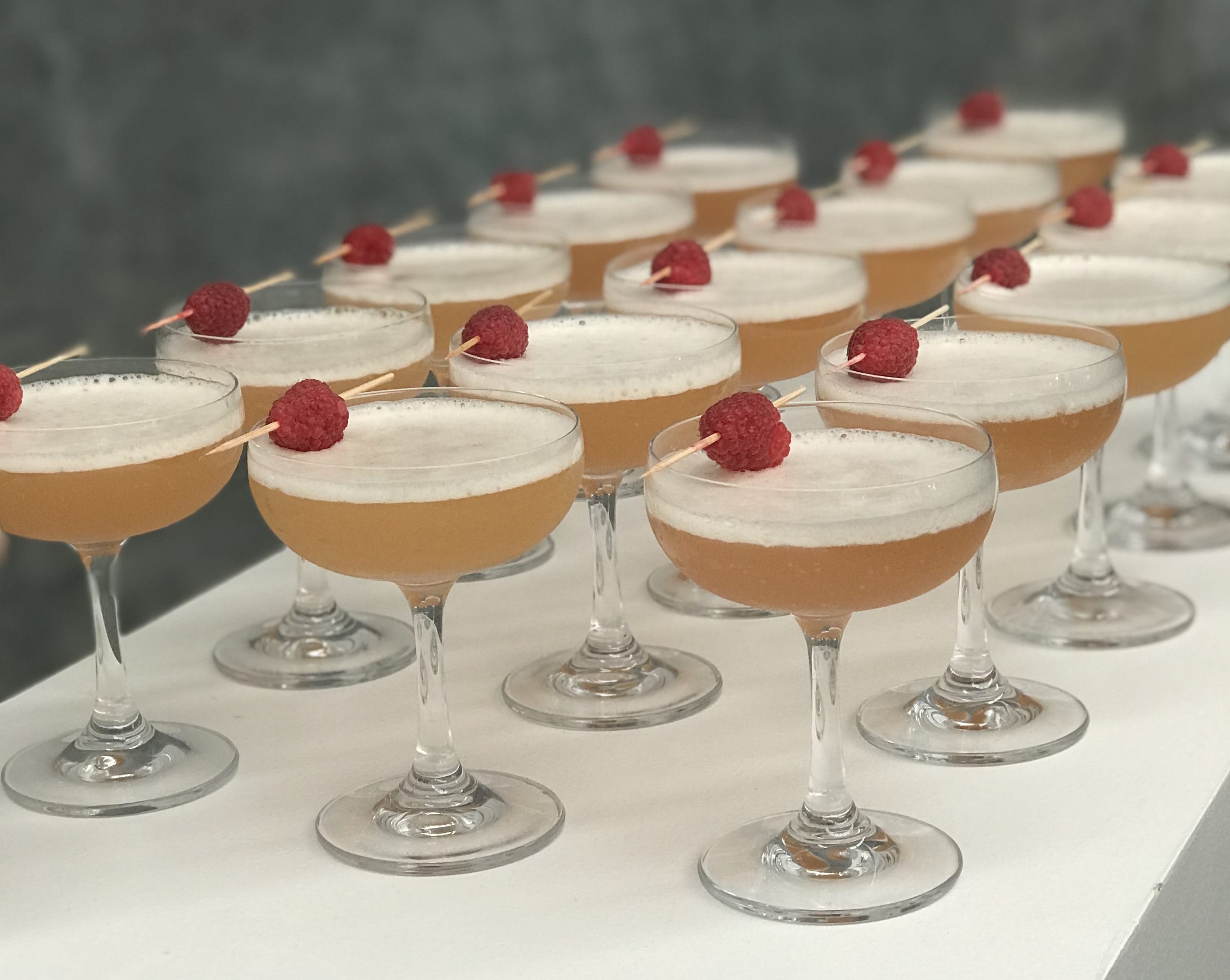 Exclusive Hire - Corporate 12