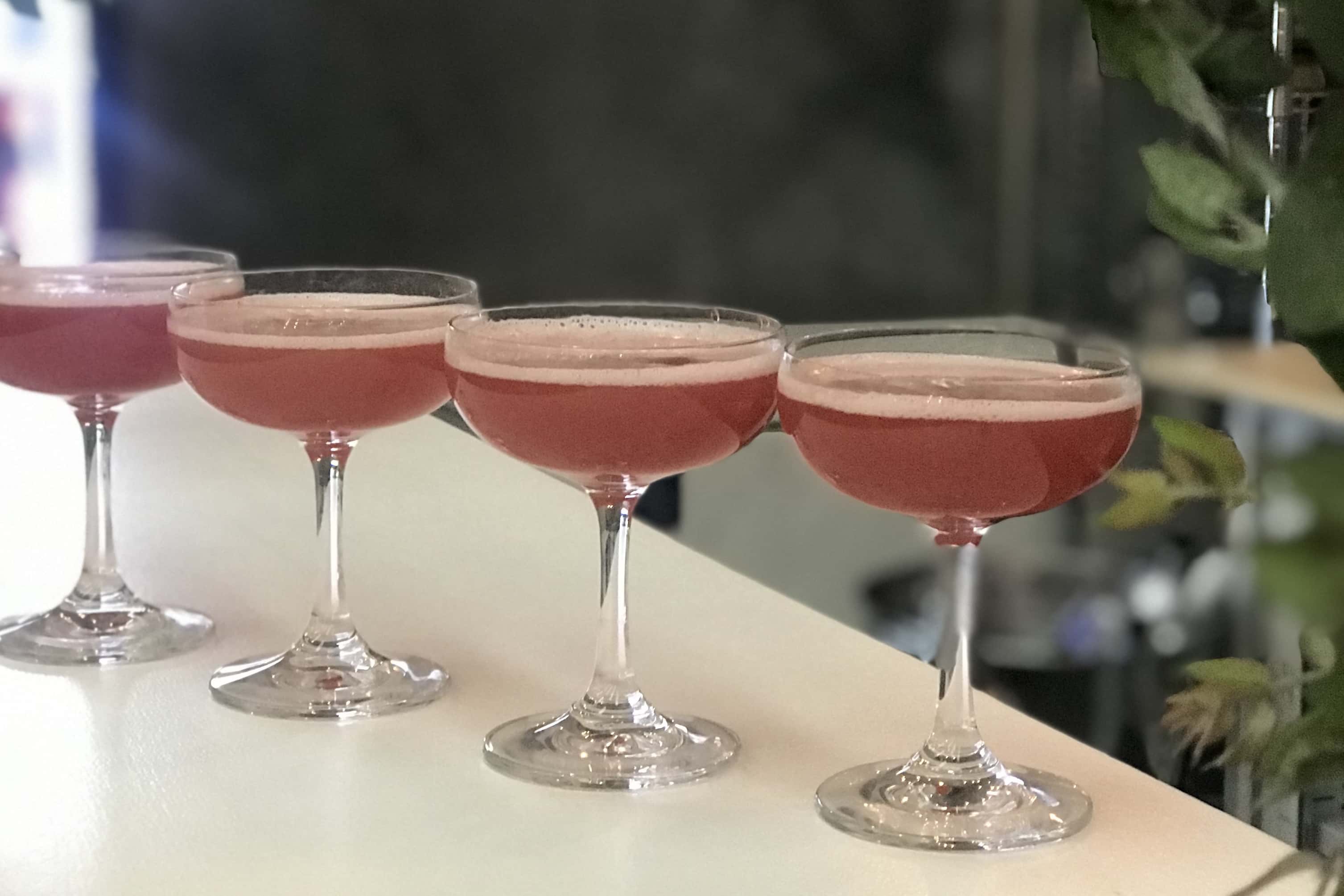 Exclusive Hire - Corporate 10