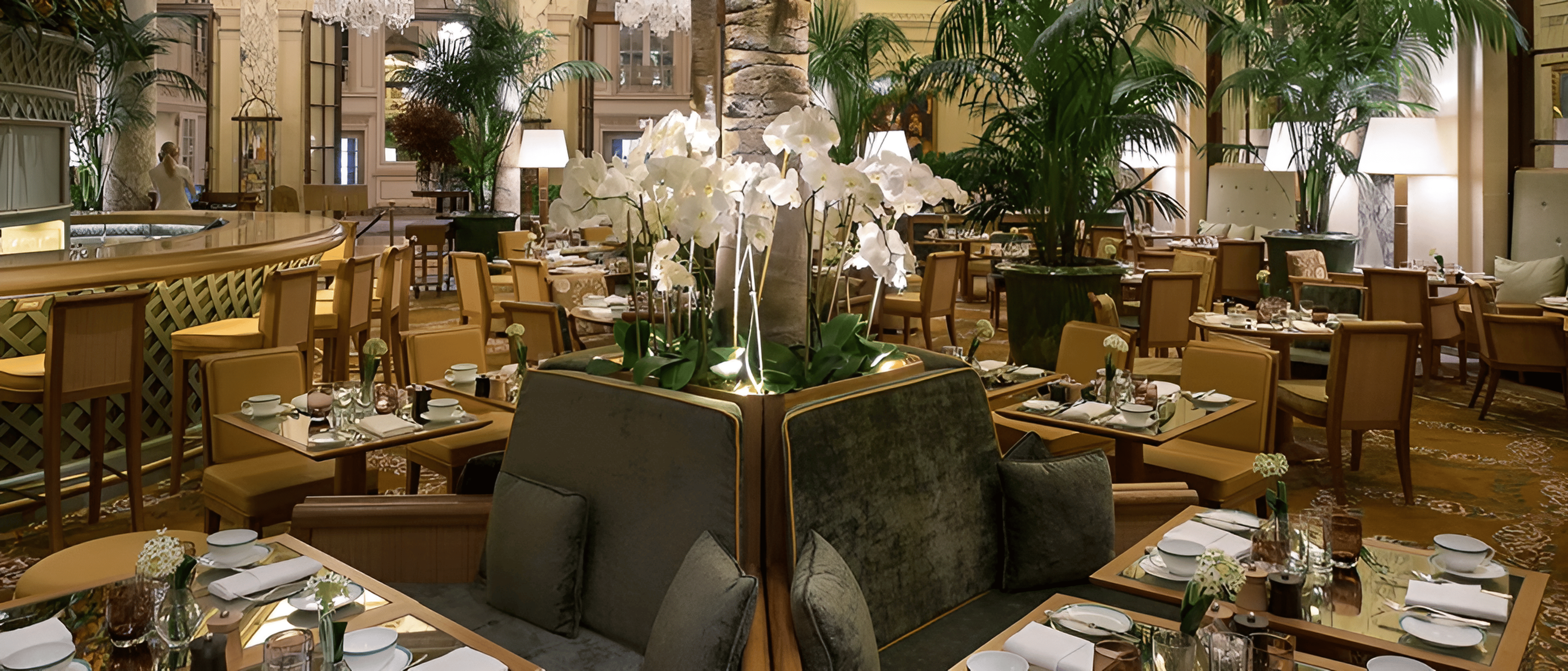 The Palm Court 2