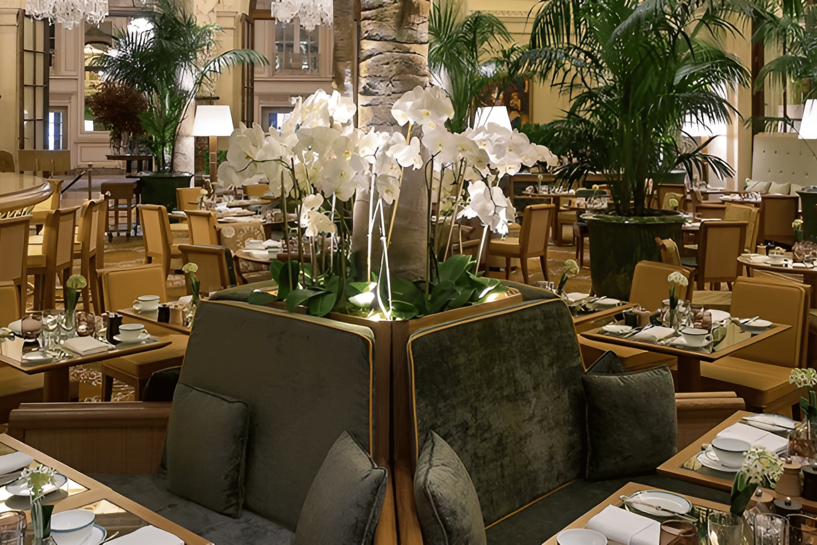 The Palm Court 2