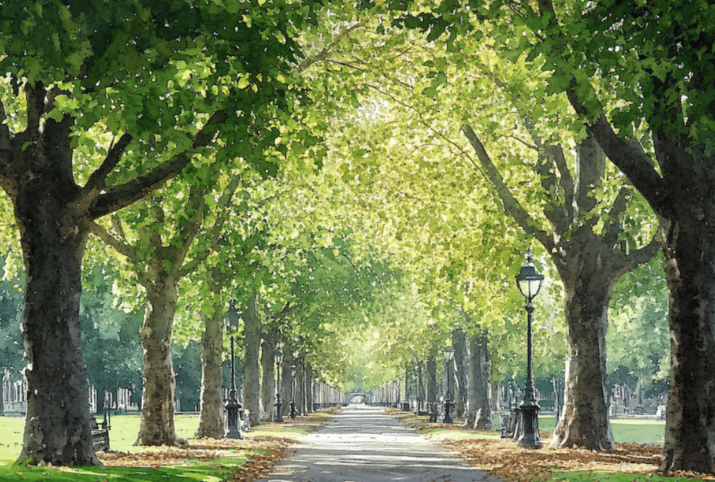 Summer at Evolution London 8