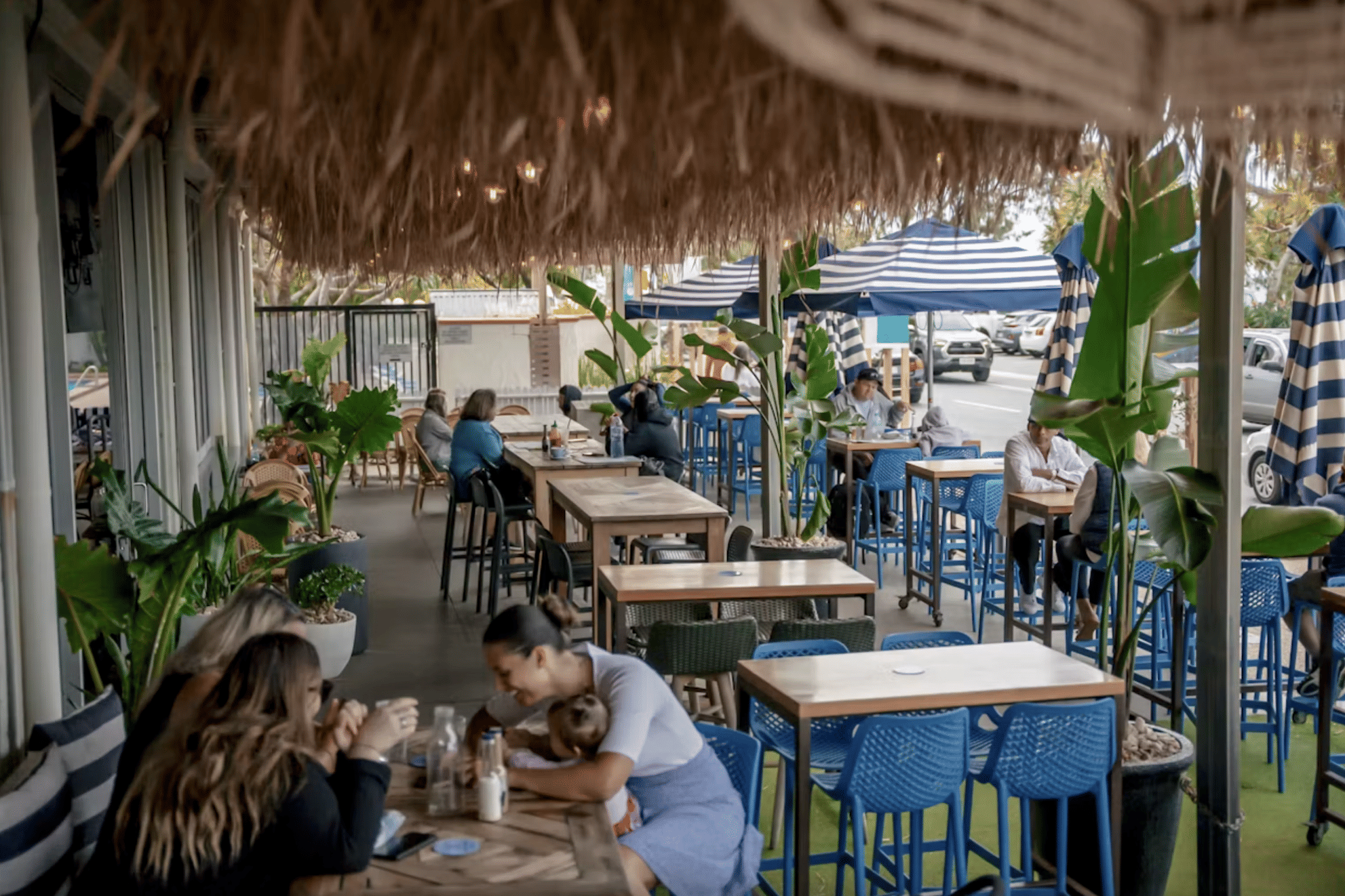 Sandbar Lawn & Lounge 0