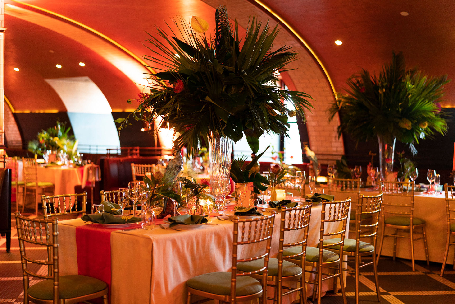 Aqua Nueva Exclusive  1