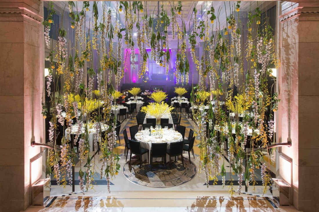 Summer Parties 3D tour