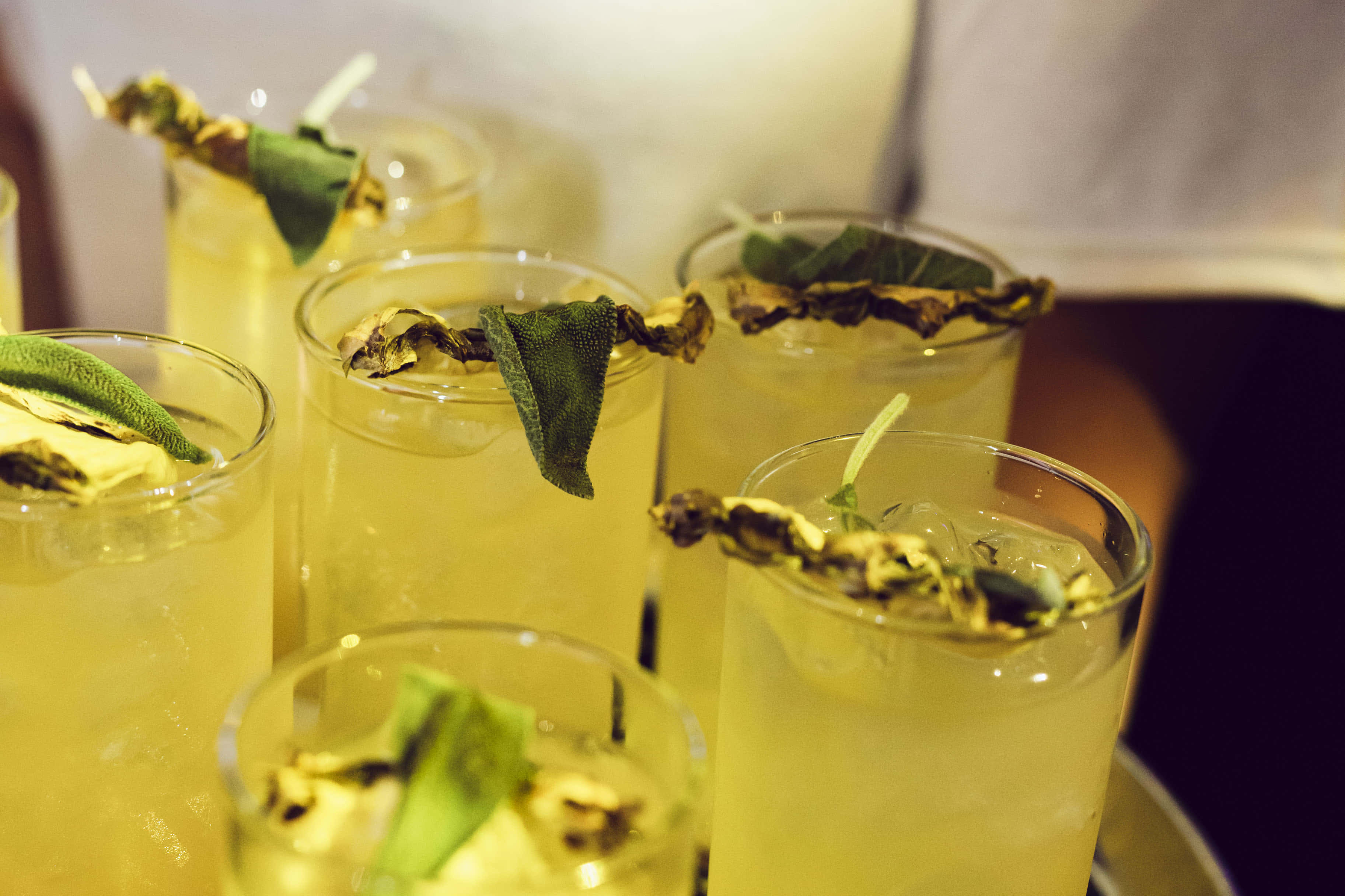 Receptions & Networking Events 22