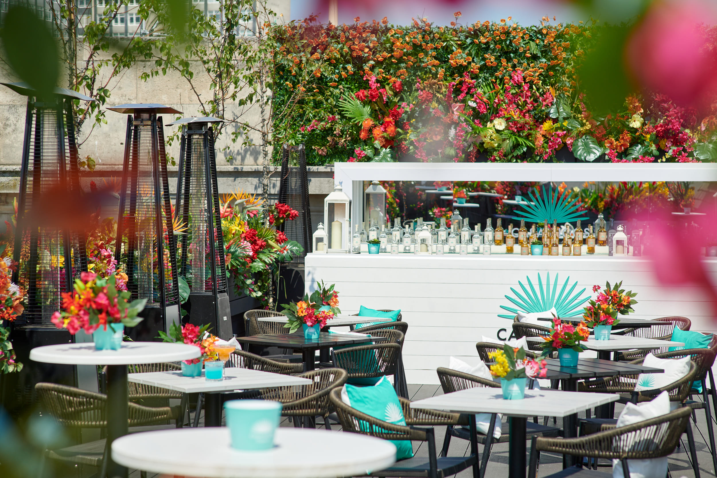 Aqua Nueva Bar & Terrace 1