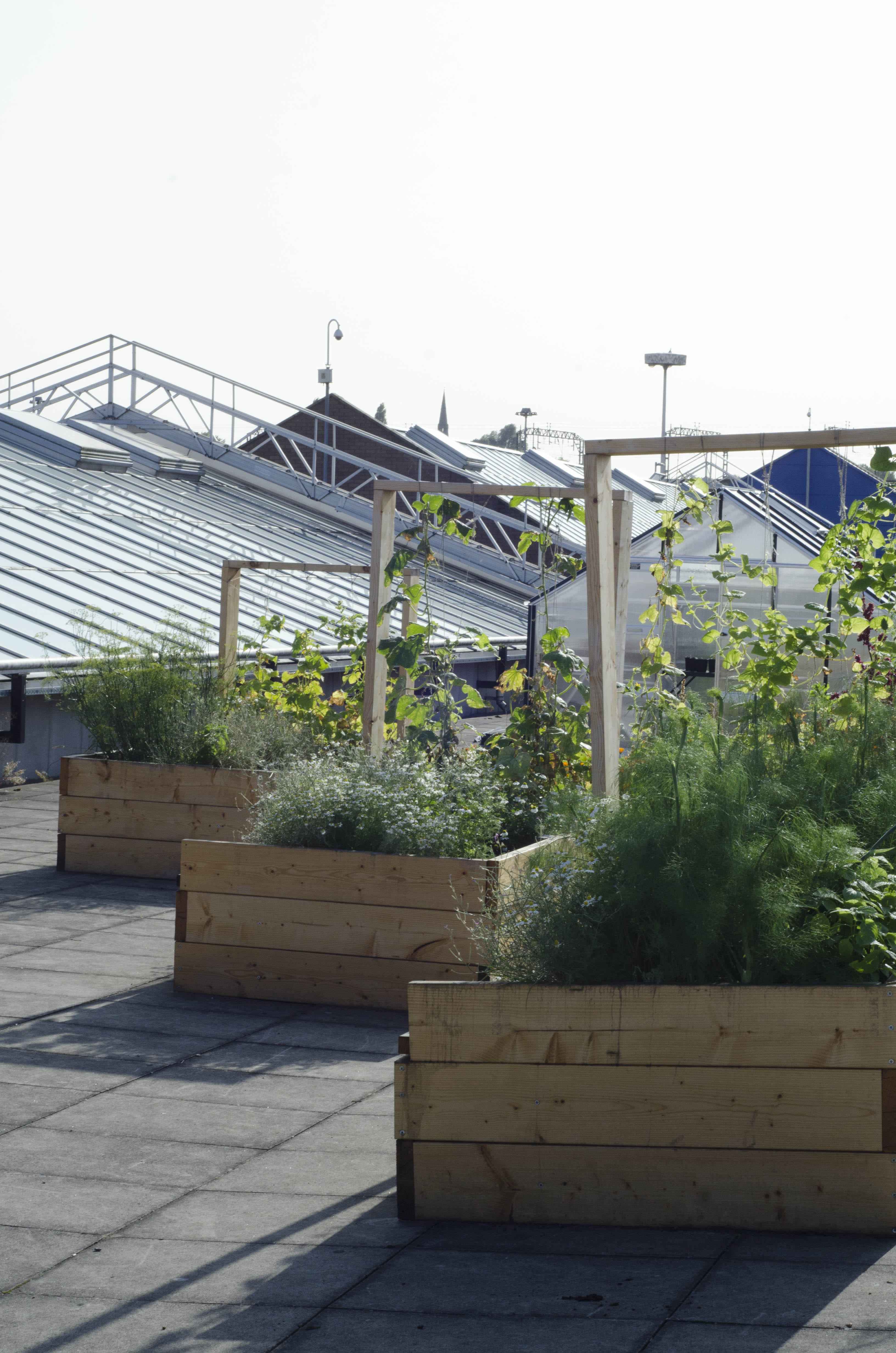 Where The Light Gets In 2