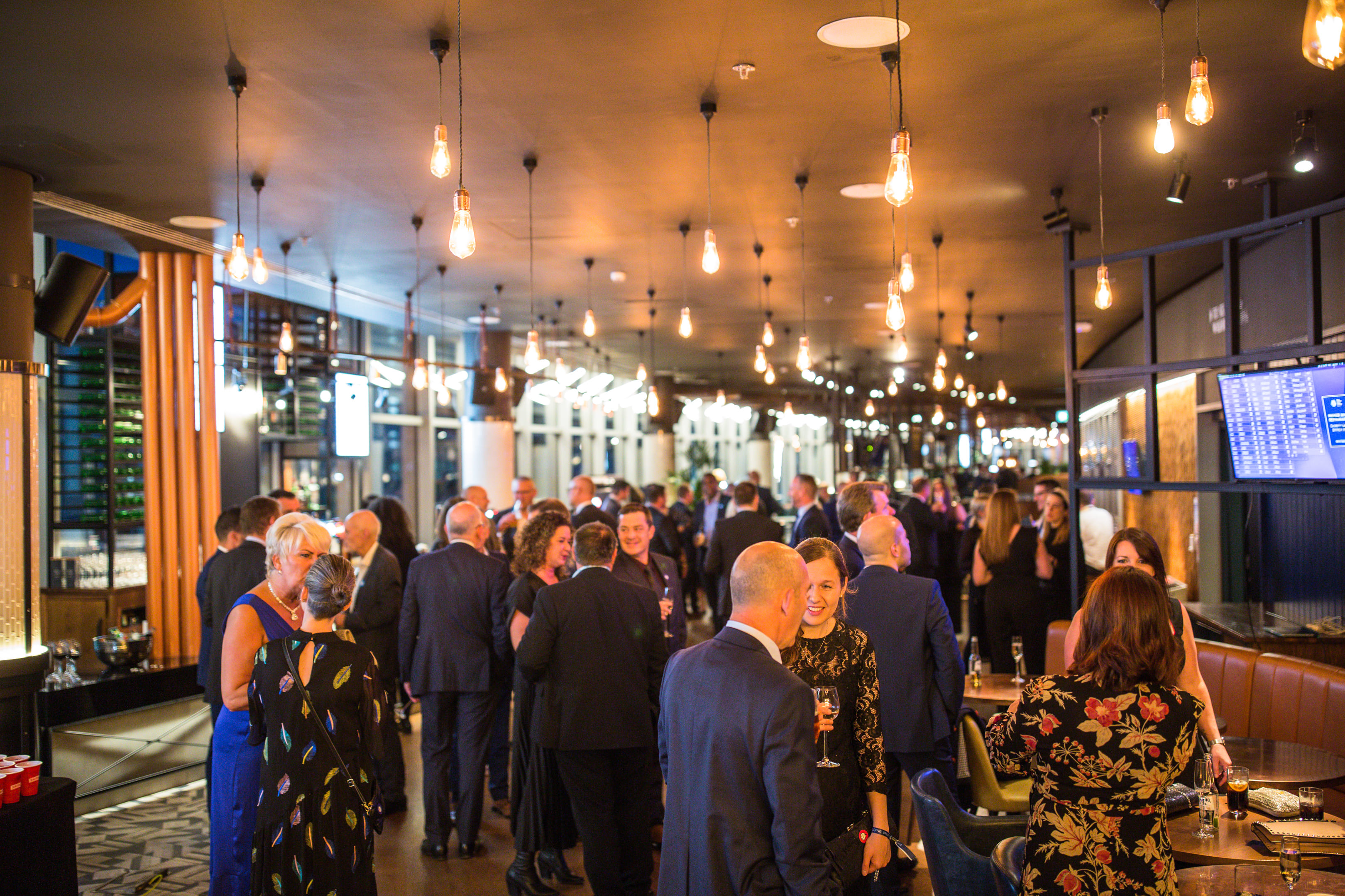 Three Lions / Lioness 3