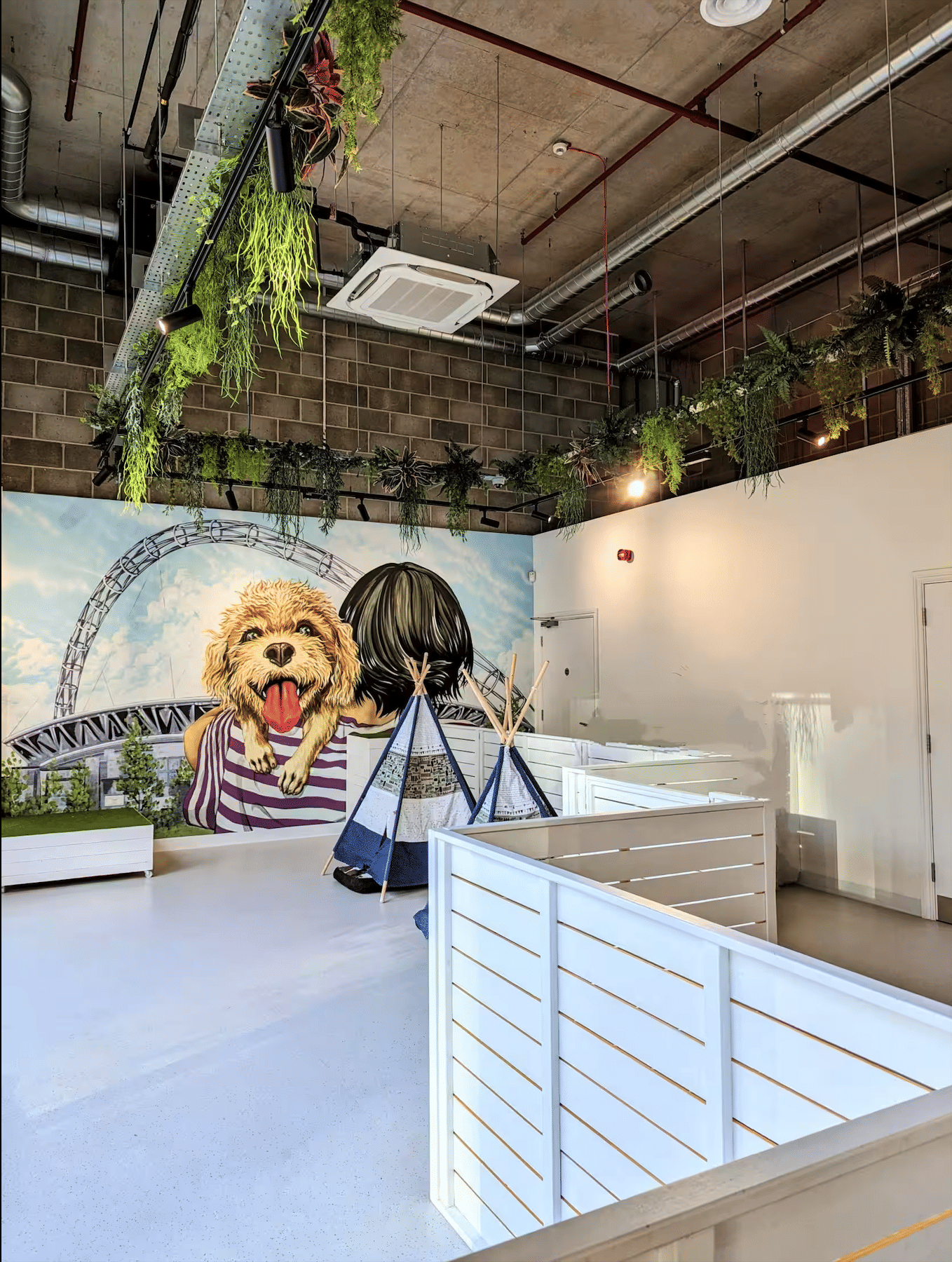 Dog Therapy Celebrations & Team Away Days 1