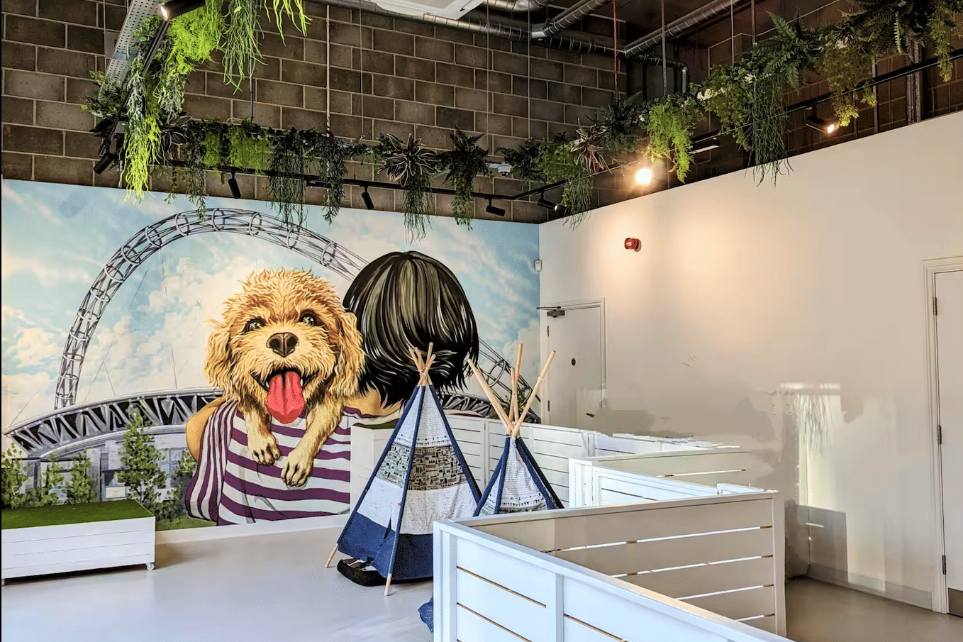 Dog Therapy Celebrations & Team Away Days 1