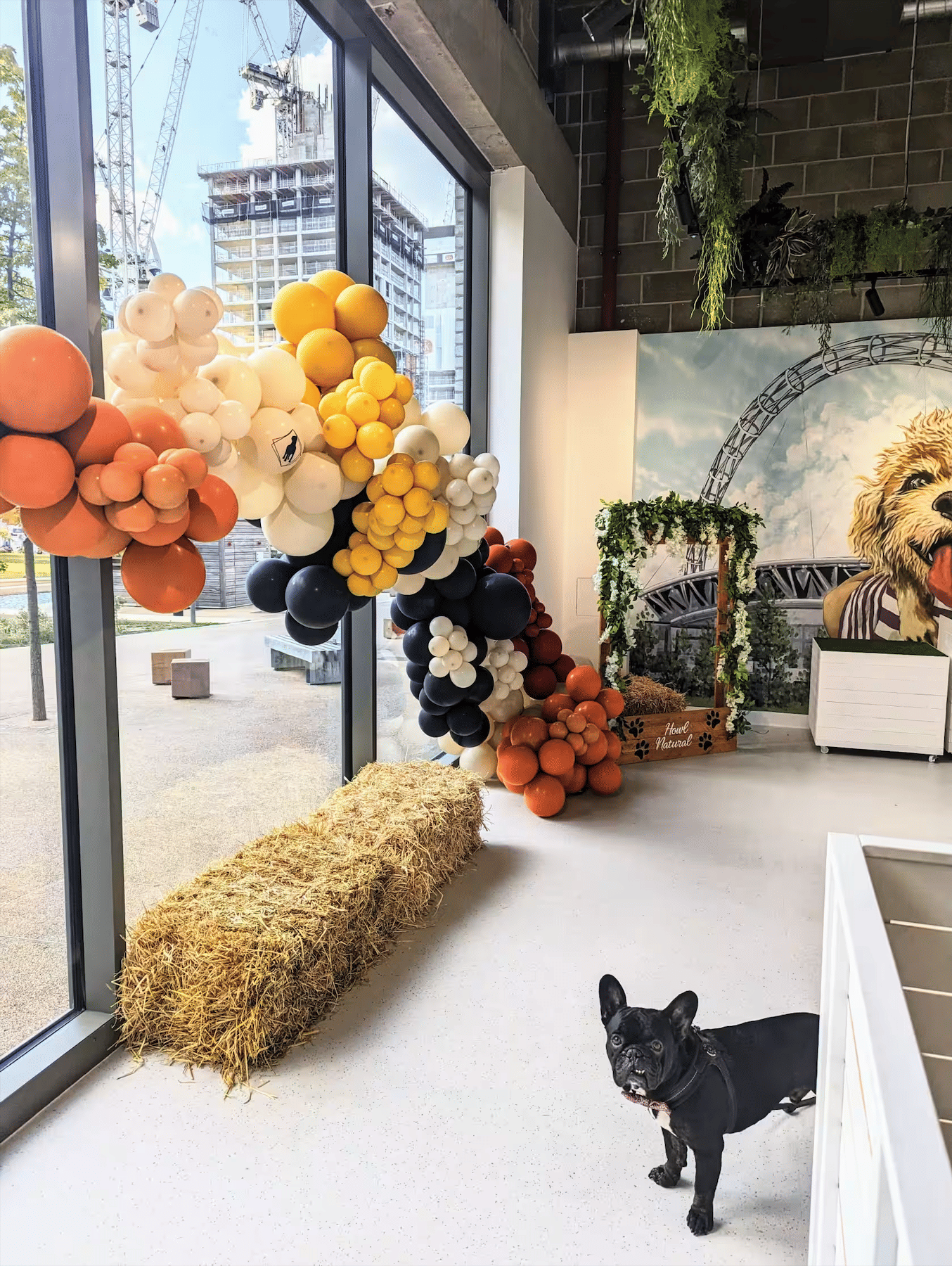 Dog Therapy Celebrations & Team Away Days 2