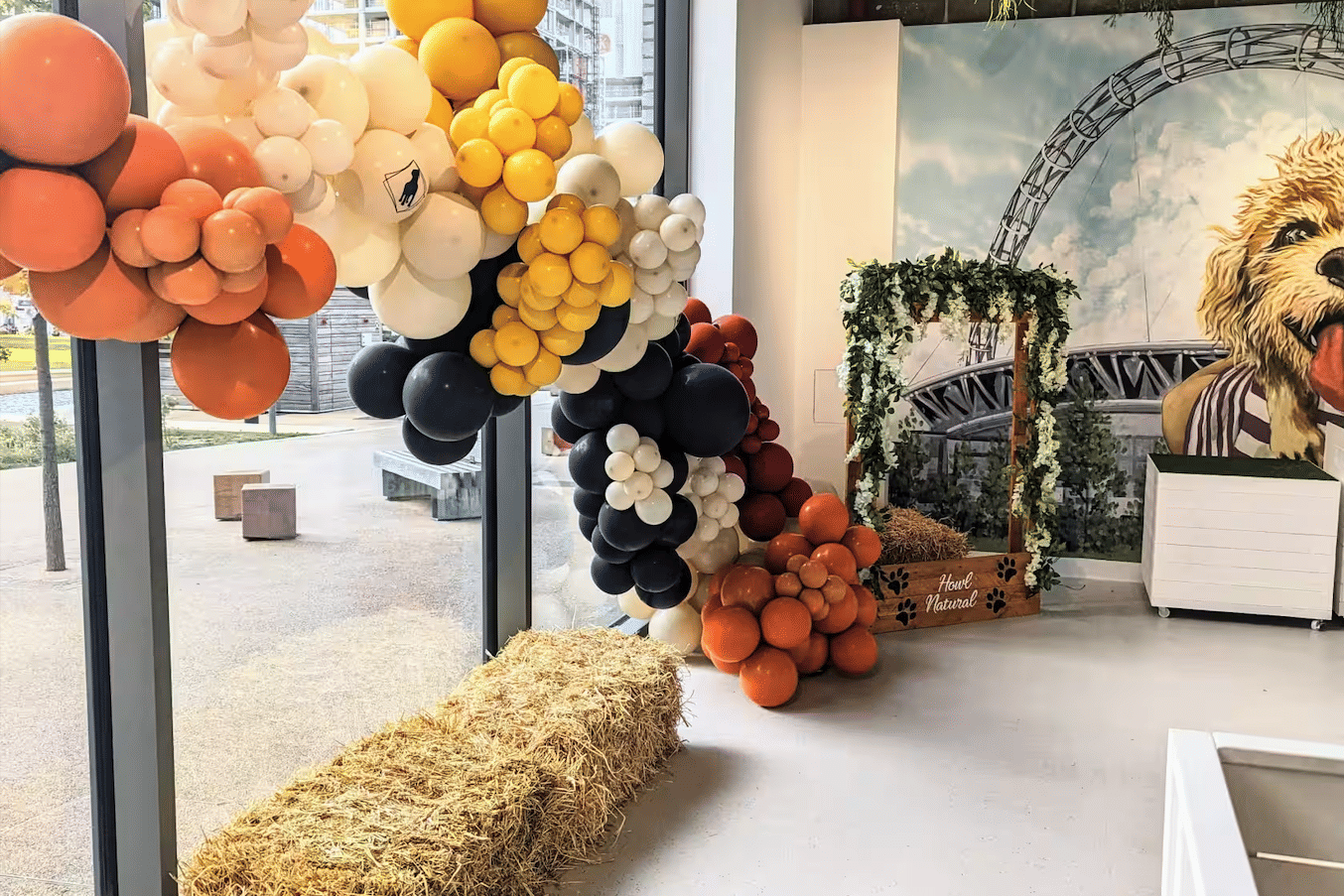 Dog Therapy Celebrations & Team Away Days 2