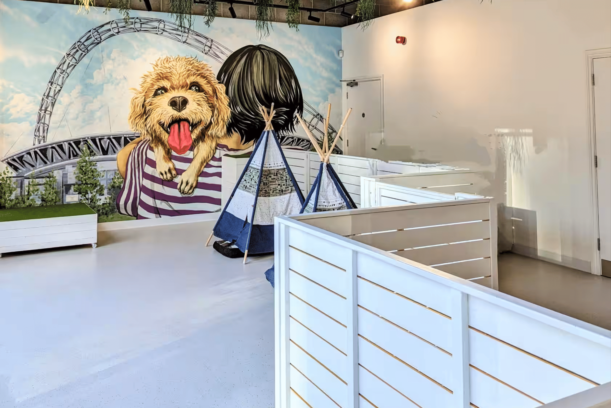 Dog Therapy Celebrations & Team Away Days 4