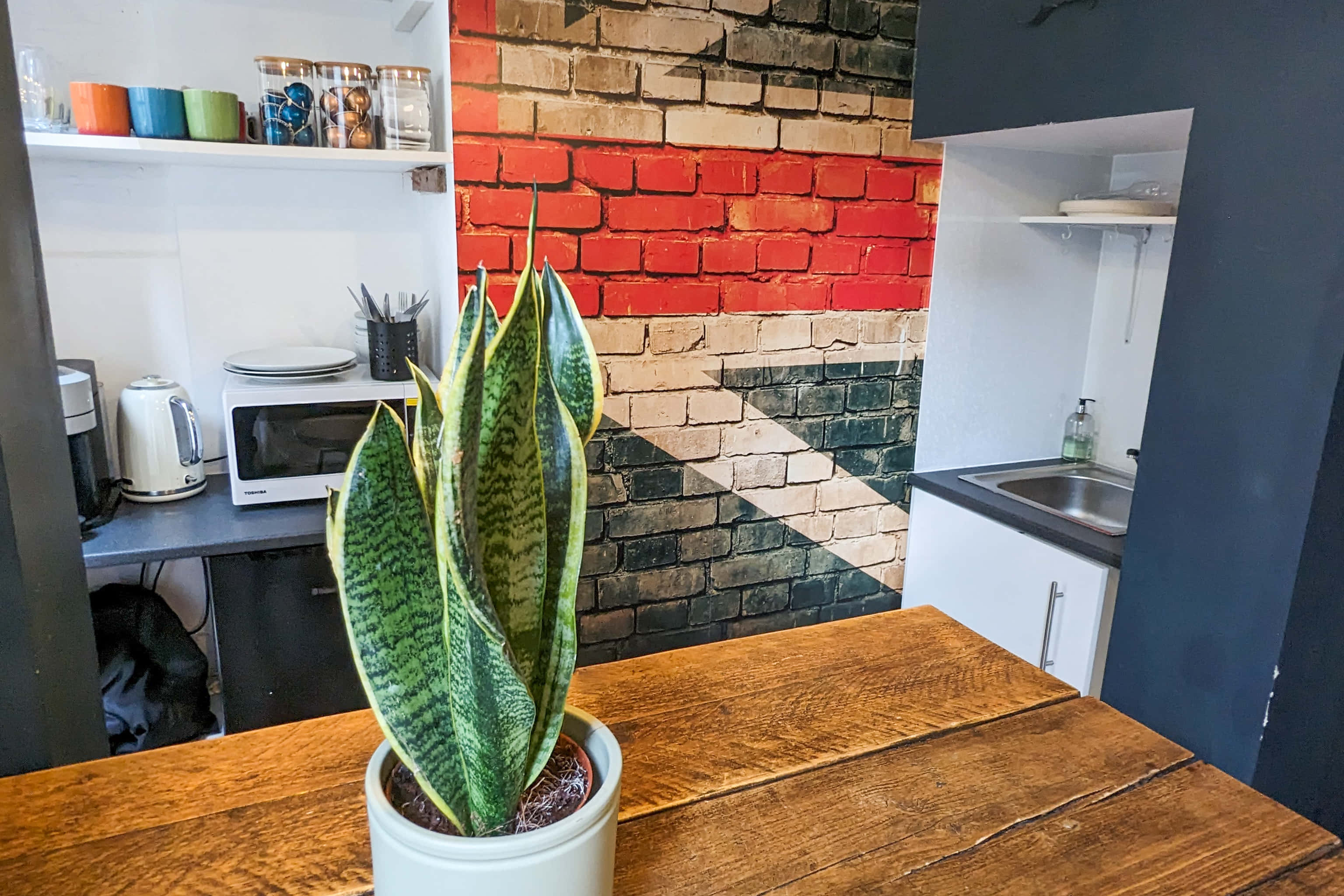 FOMO Film and Photography Studio 5