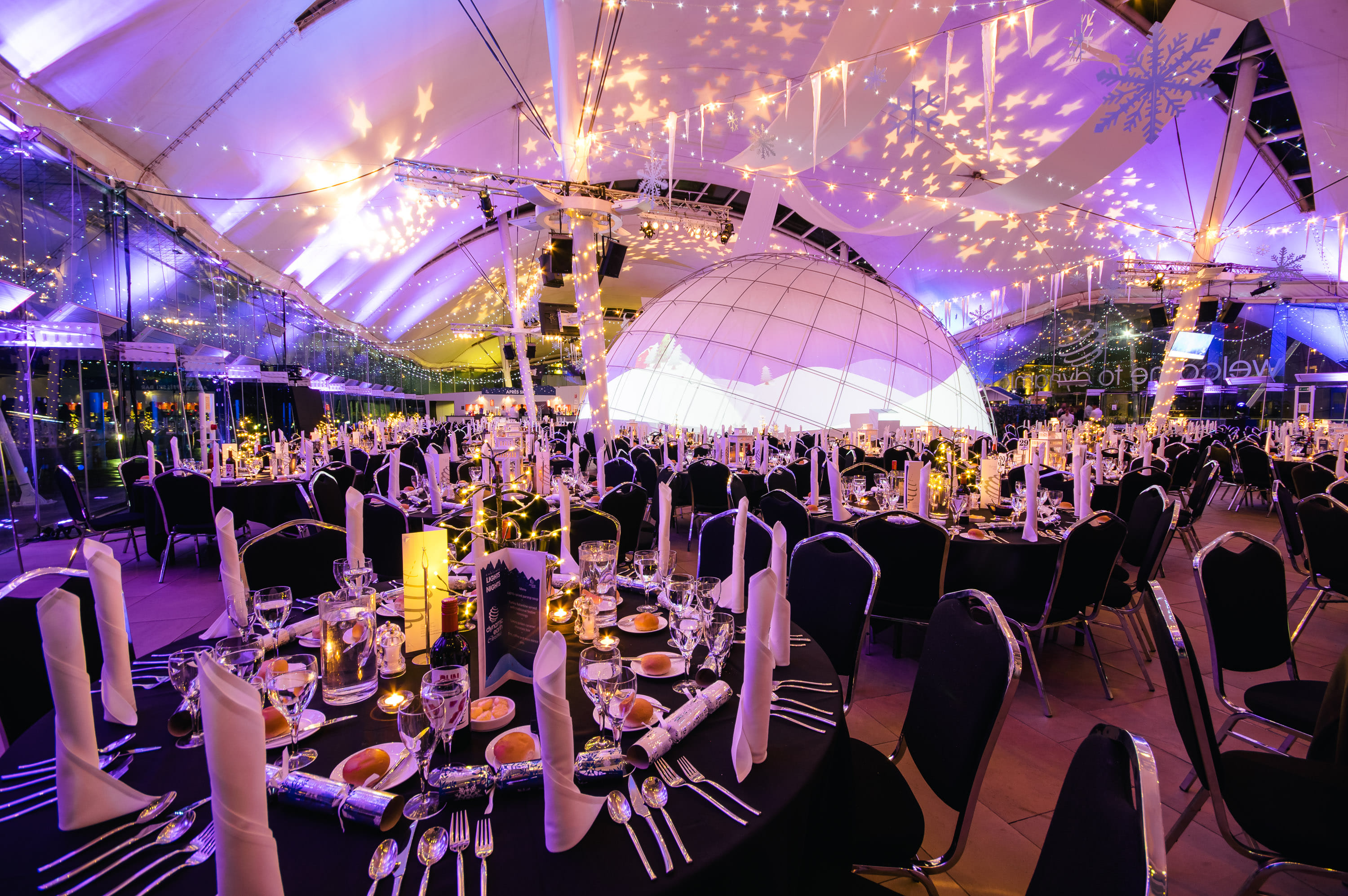 A Night Under The Stars at Dynamic Earth