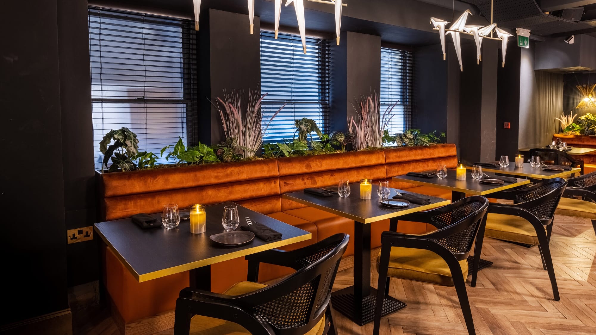 Lower Ground Floor 2