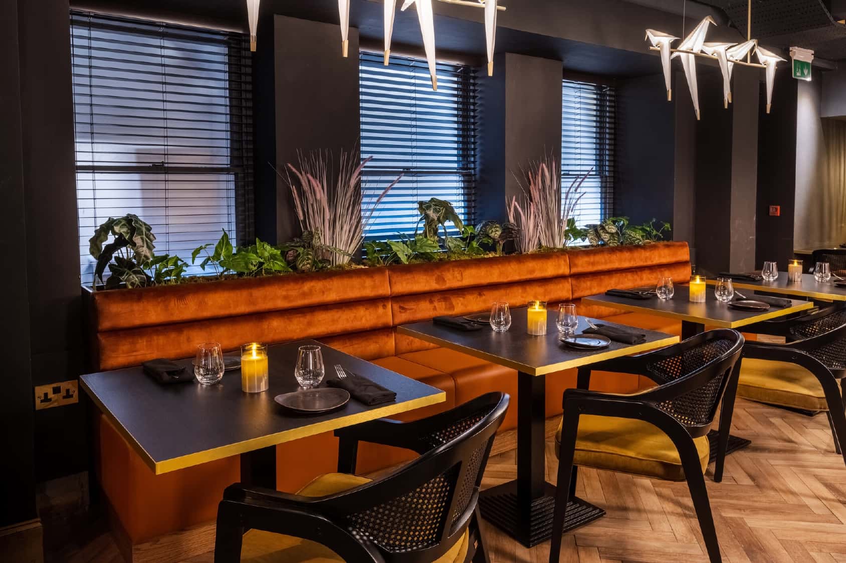 Lower Ground Floor 2