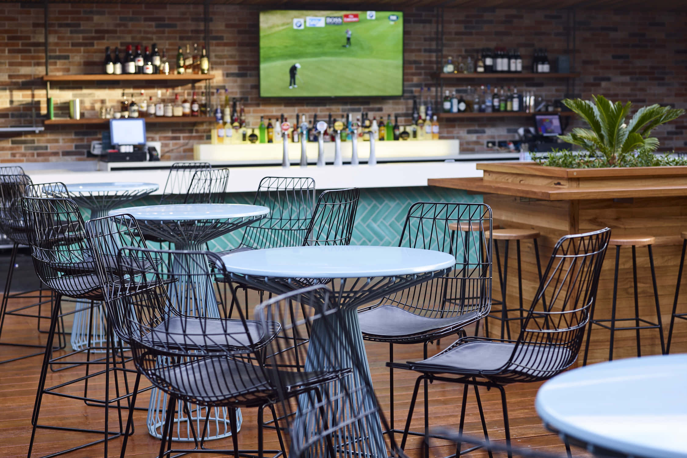 Courtyard - EXCLUSIVE 2