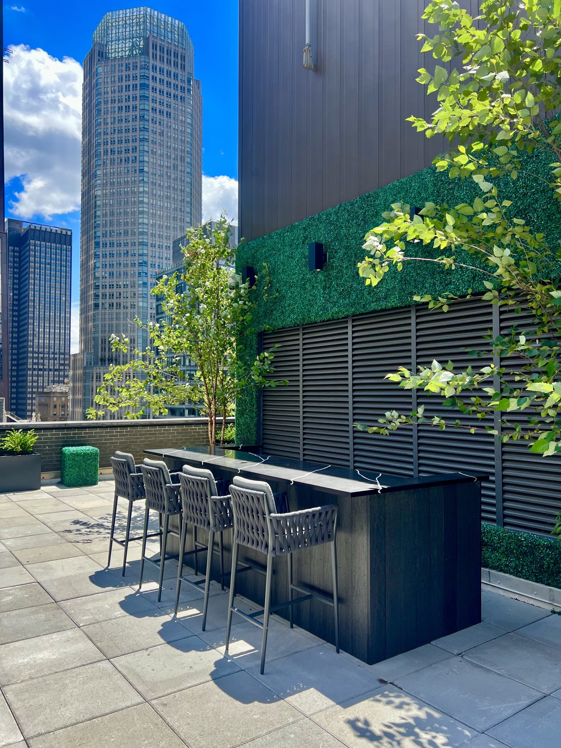 Stunning Rooftop on 5th Avenue 1