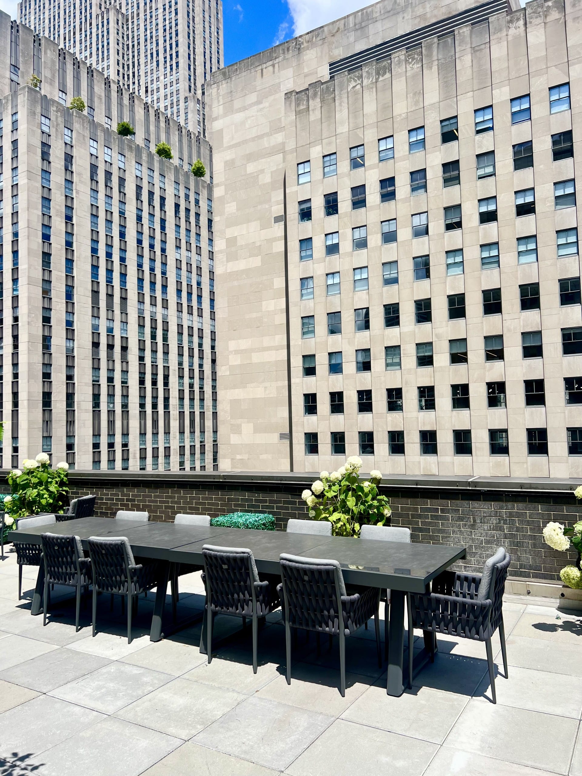Stunning Rooftop on 5th Avenue 3