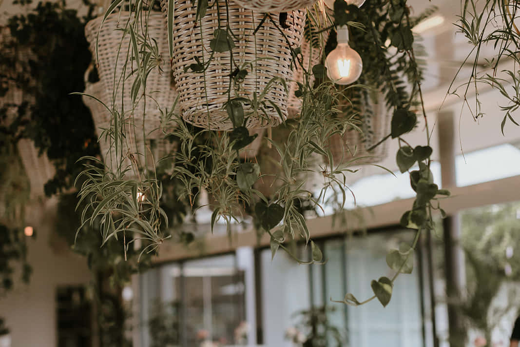 The Paddock and Oakroom with Paddock Lawn 5