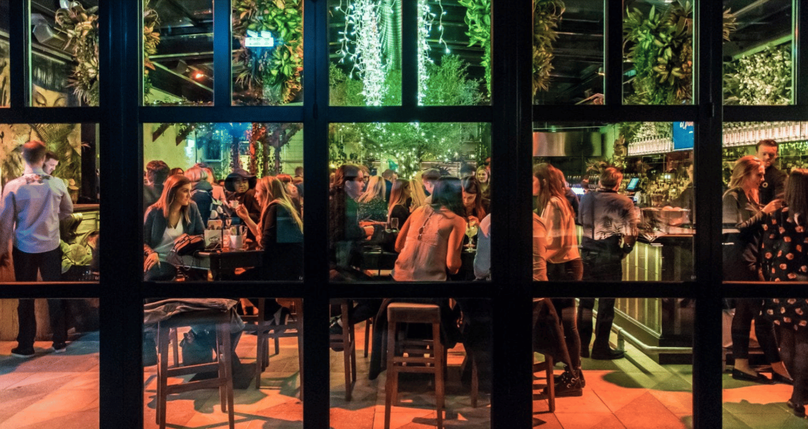 The Botanical Garden 2