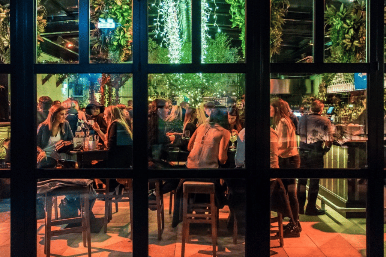 The Botanical Garden 2