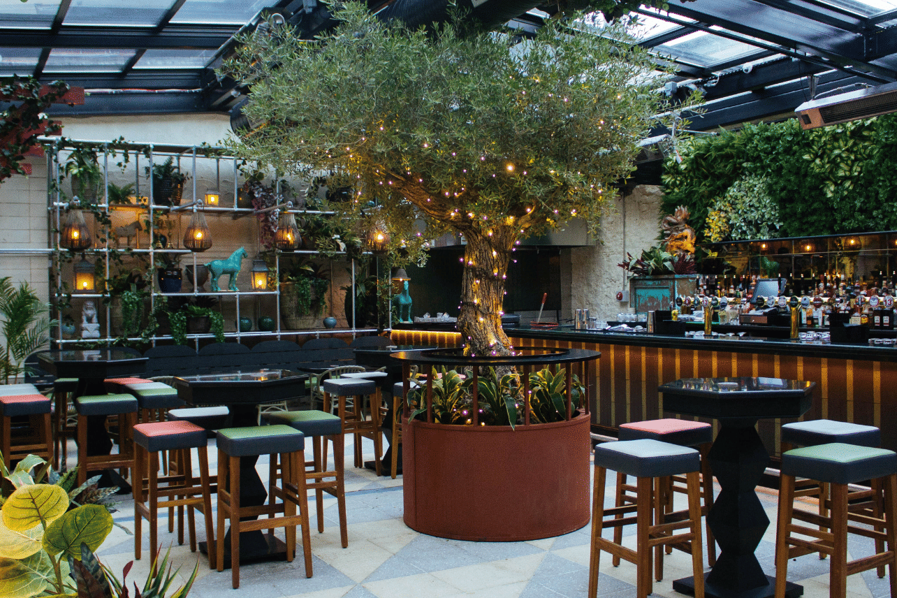 The Botanical Garden 0